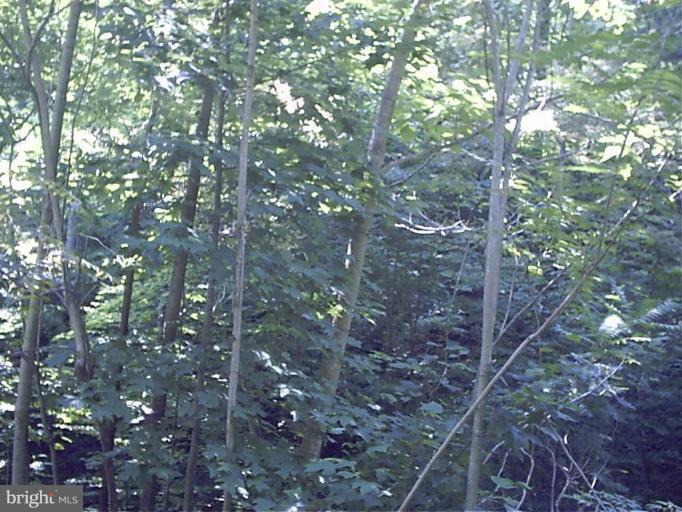 NONE AVAILABLE - Land