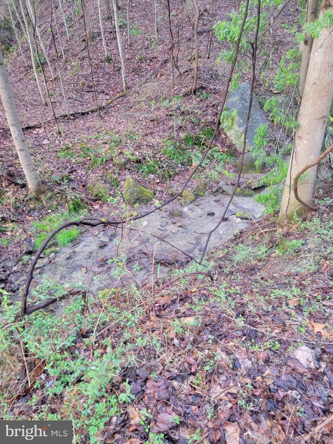 NONE AVAILABLE - Land