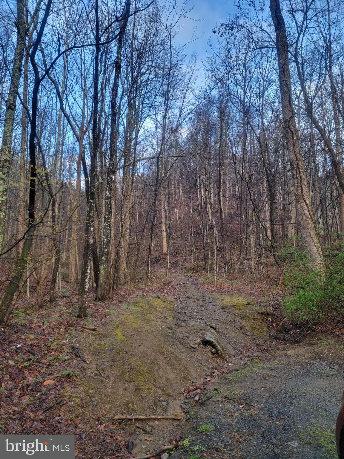 NONE AVAILABLE - Land