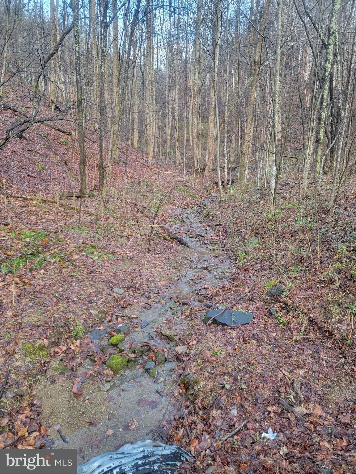 NONE AVAILABLE - Land