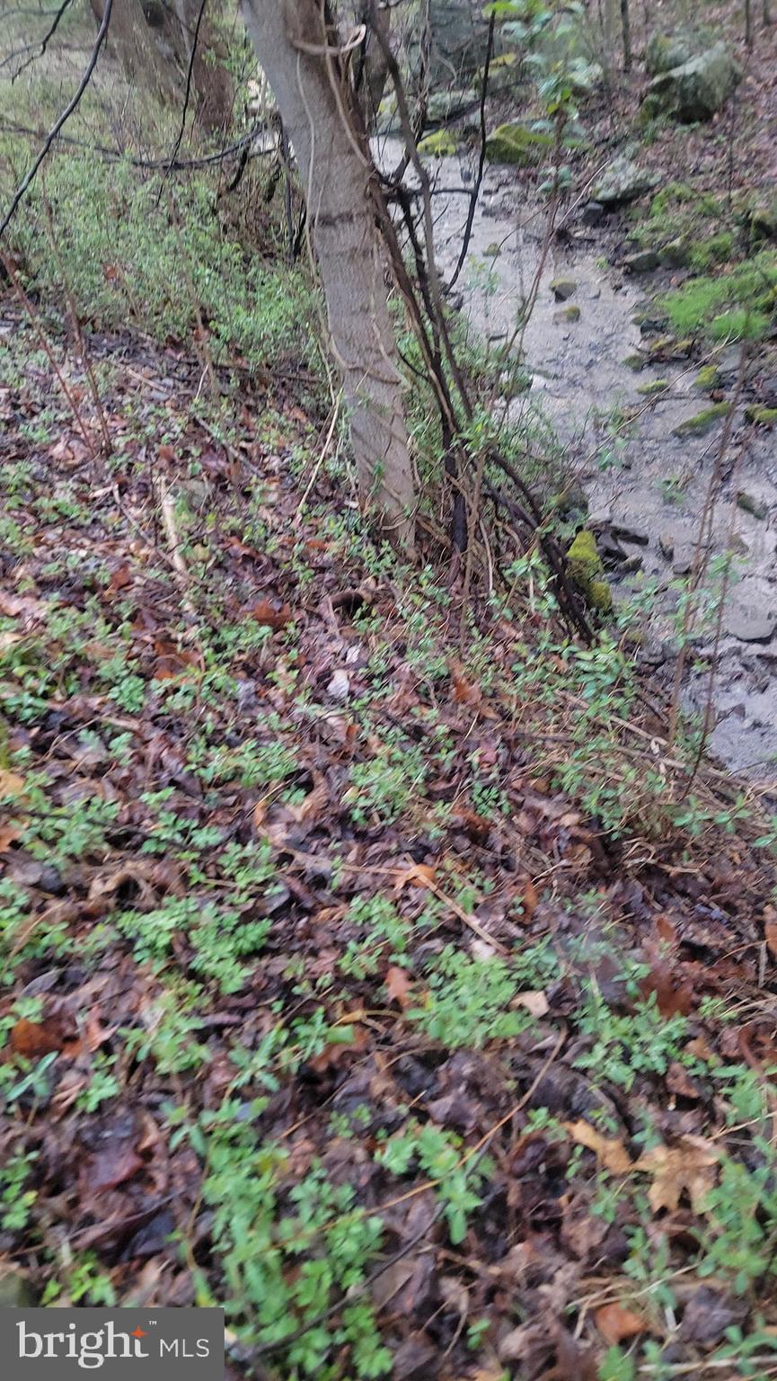 NONE AVAILABLE - Land