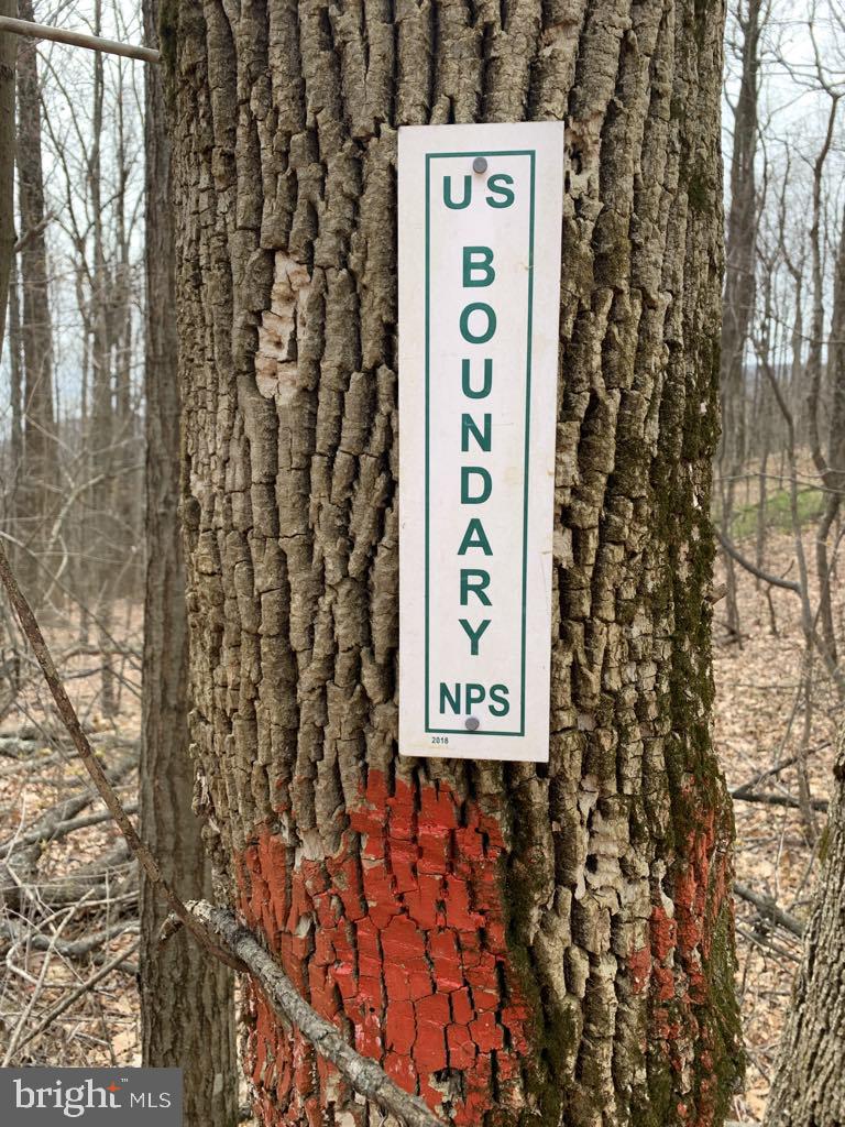 NONE AVAILABLE - Land