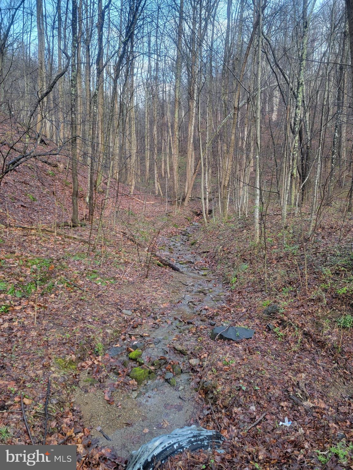 NONE AVAILABLE - Land