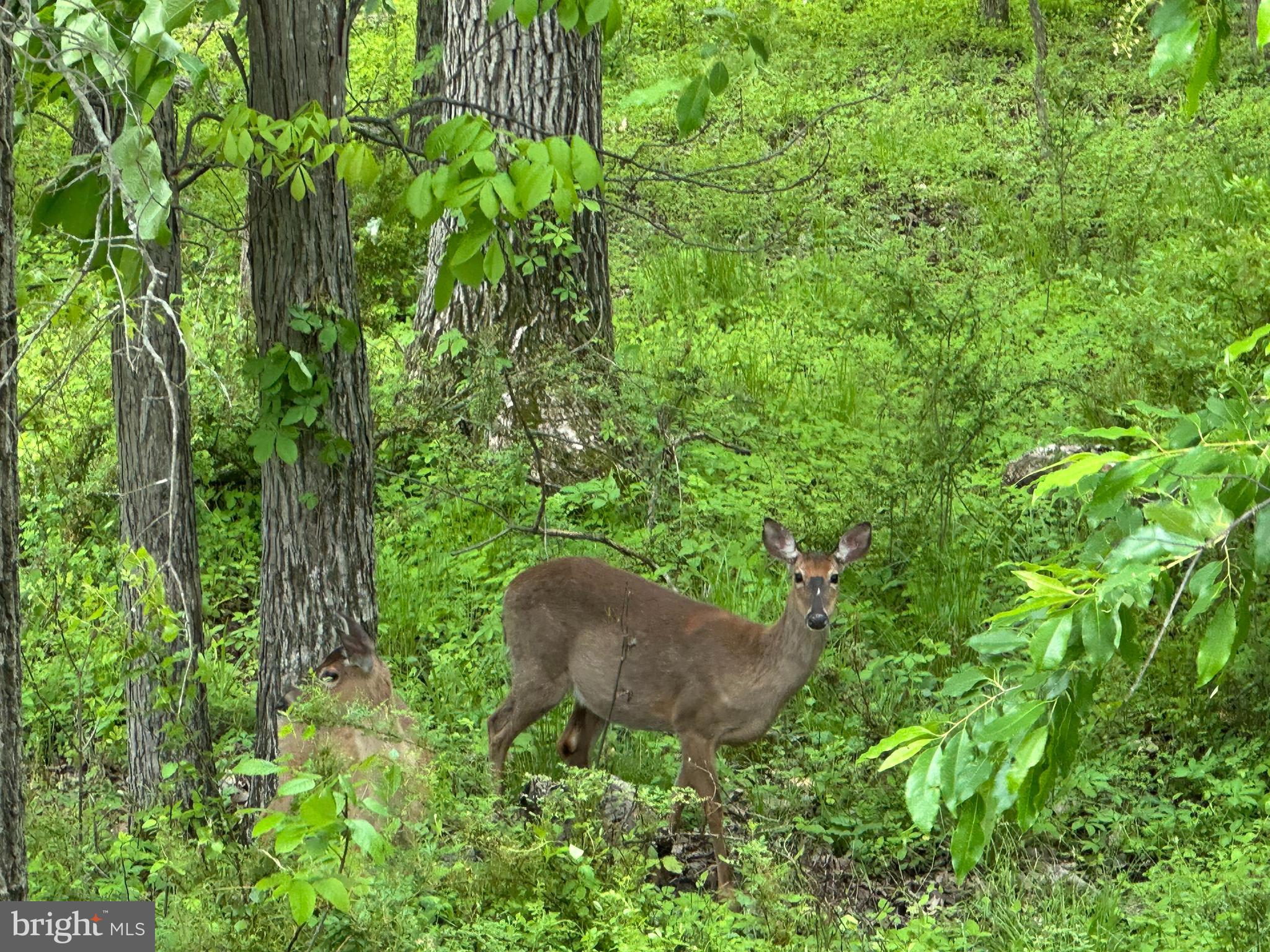 143 BITTERN DRIVE