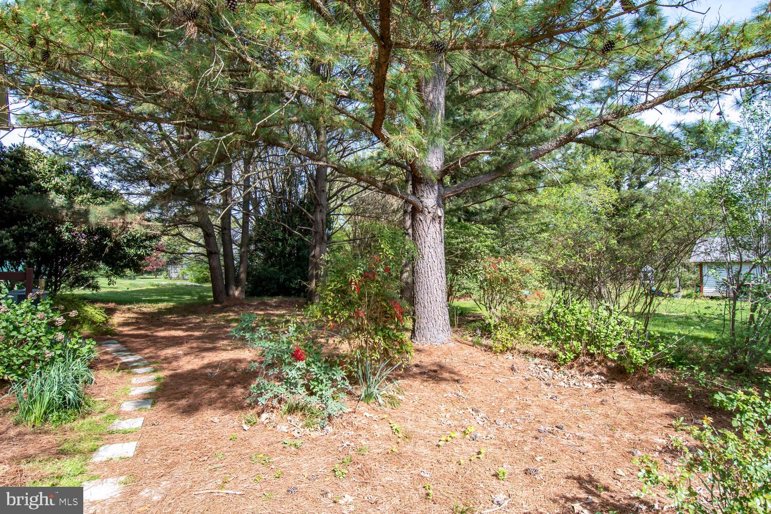 ROYAL OAK - Residential