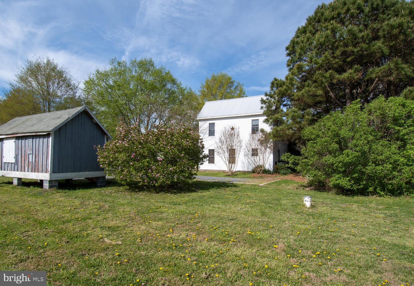 ROYAL OAK - Residential