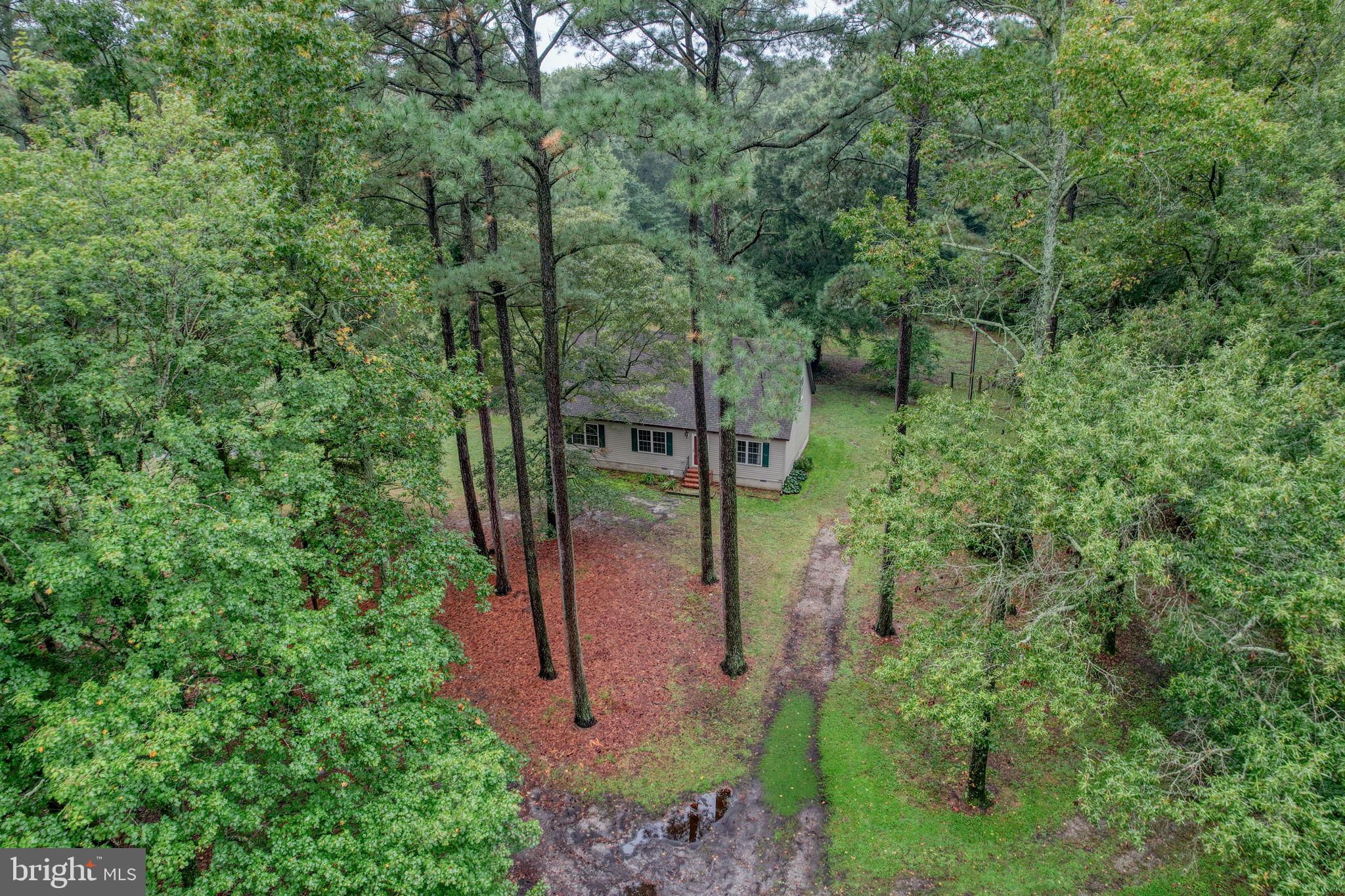 14990 GREENSBORO ROAD