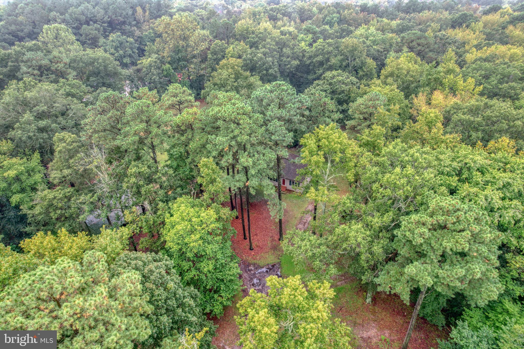 14990 GREENSBORO ROAD