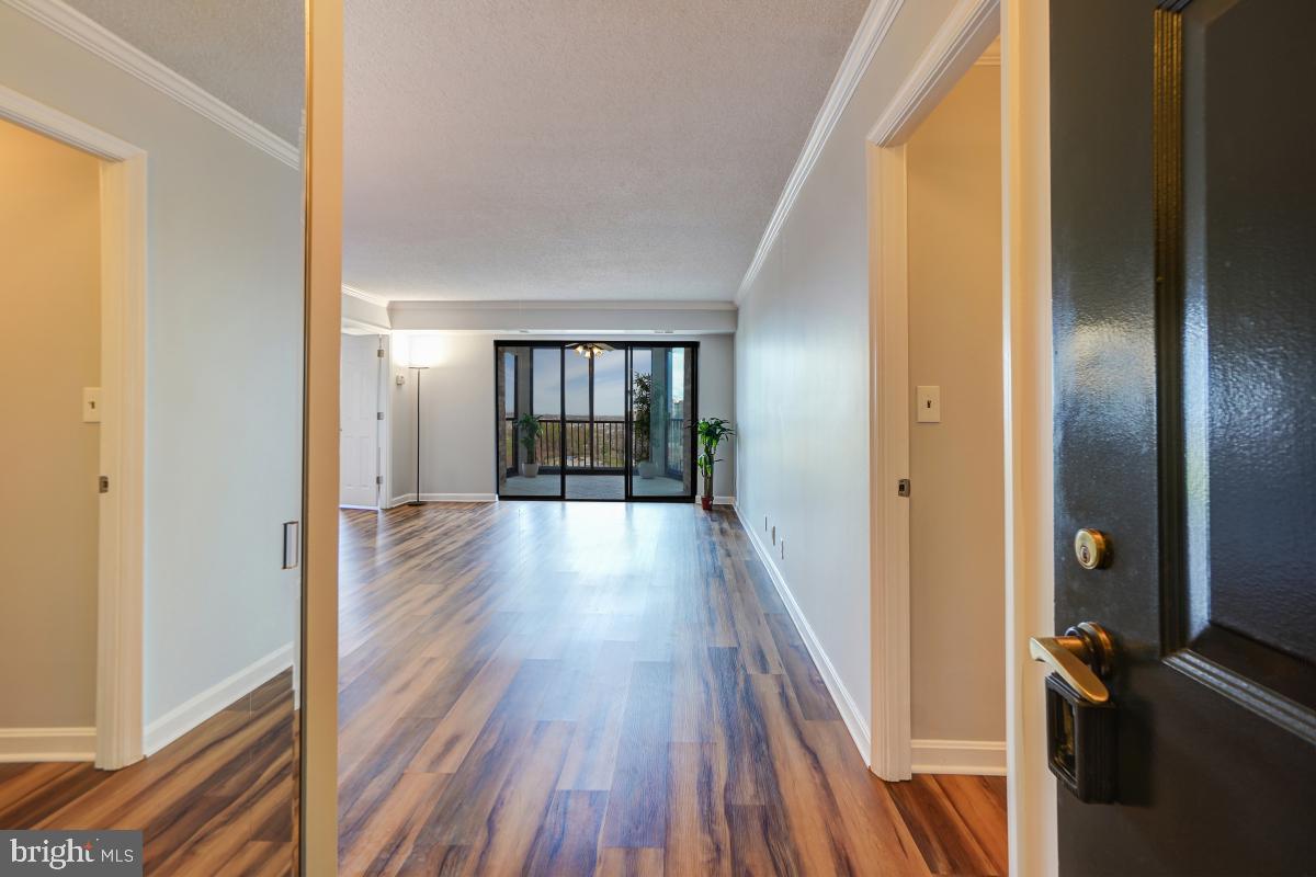 5902 MOUNT EAGLE DRIVE 1501