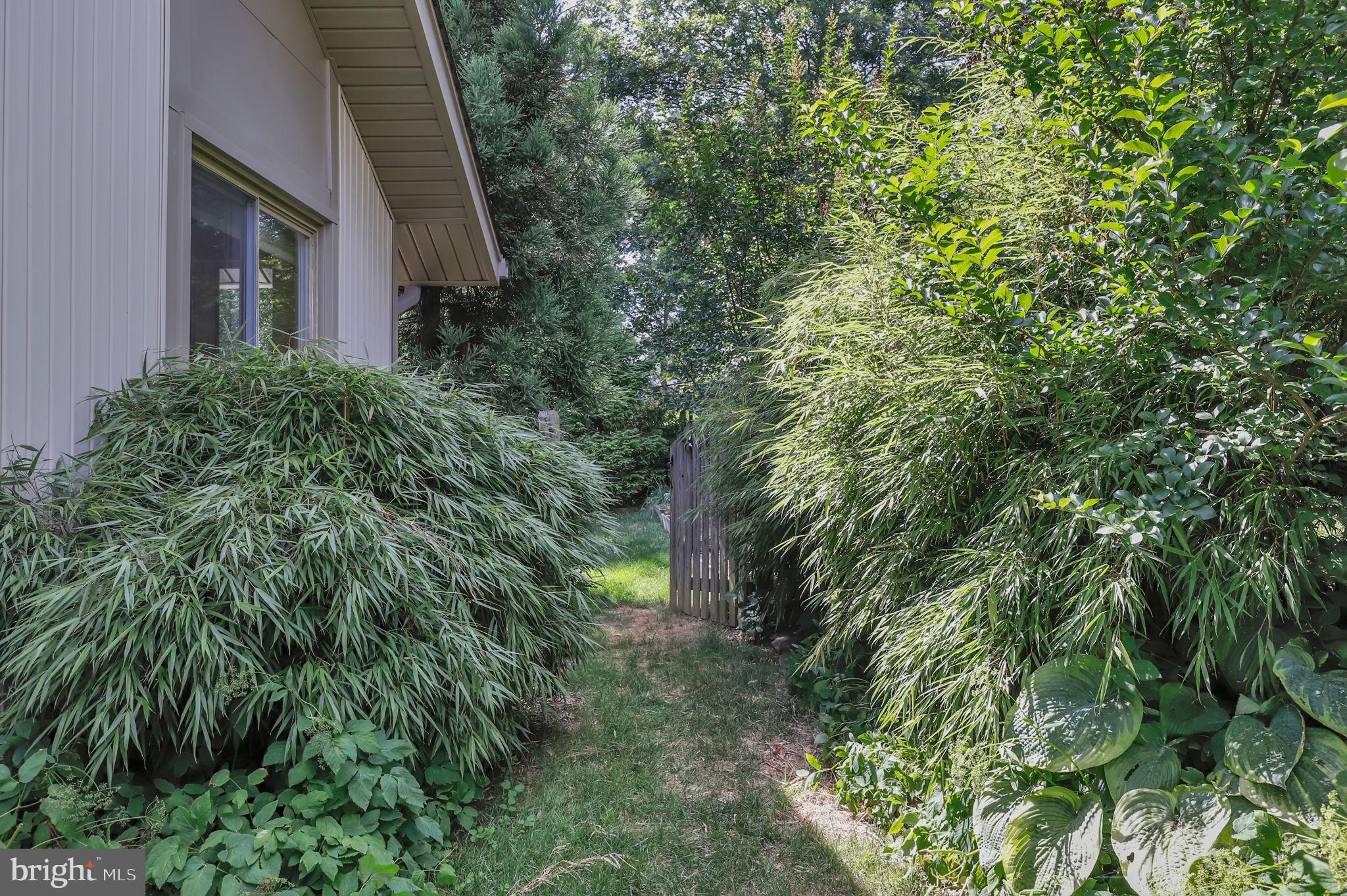 THE POINTS - Residential