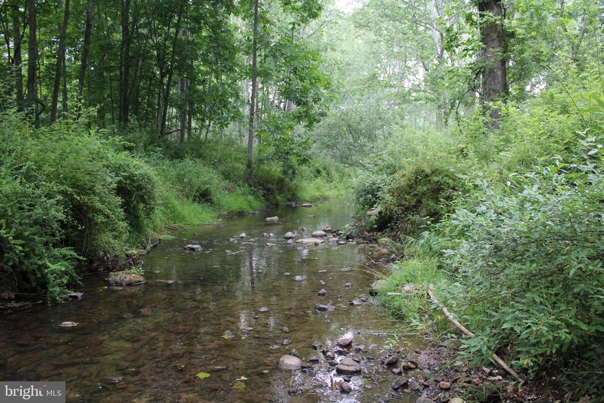 Serene Mountain Refuge comprised of 20.15 Acres in Eastern Hampshire County, West Virginia. Escape the hustle and bustle of city life and discover your own private oasis nestled in the beautiful Eastern portion of Hampshire County, West Virginia. Located under 2 hours from Washington DC, this remarkable 20.15-acre property offers a truly unique opportunity to embrace the sweet sounds of silence and enjoy the captivating beauty of nature. Find peace and tranquility on this sprawling property, tucked away from the noise and distractions of city life. All while enjoying the ever calming waters of Dillons Run. Featuring an impressive 830’ feet of frontage you’ll have direct access to crystal-clear waters, perfect for fishing, swimming, or simply relaxing by the water. Towering hardwoods cover the landscape and provide a picture-perfect illustration of what life in the mountains is all about. This property is a haven of seclusion, ensuring you can enjoy your own private sanctuary away from prying eyes. Whether you dream of building your dream mountain retreat, creating a recreational haven, or simply finding solace in nature, this 20.15-acre property offers endless possibilities. Escape the chaos of the city and immerse yourself in the tranquil beauty of West Virginia. Don't miss out on this rare opportunity!
