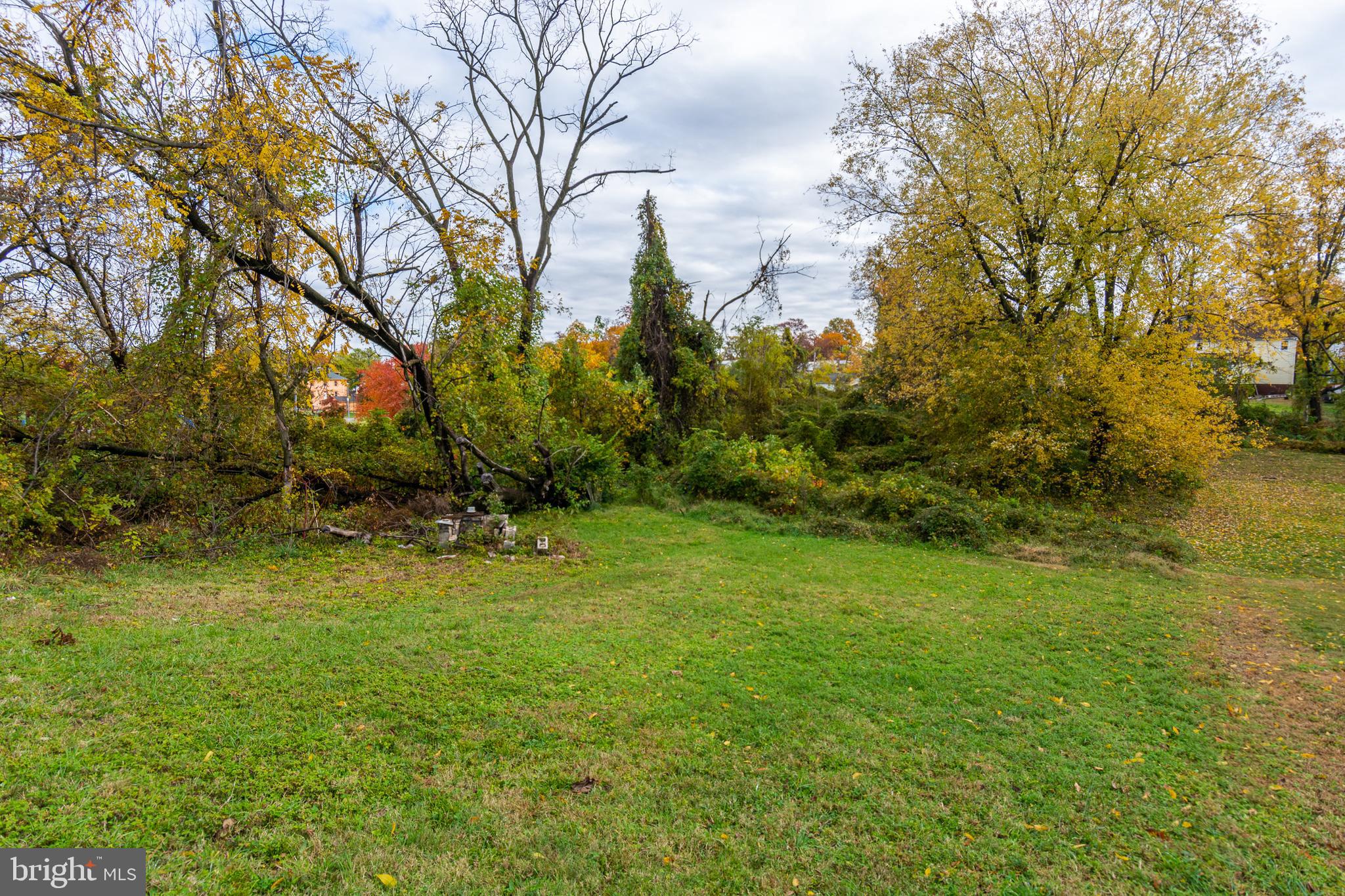 MORELL PARK - Residential