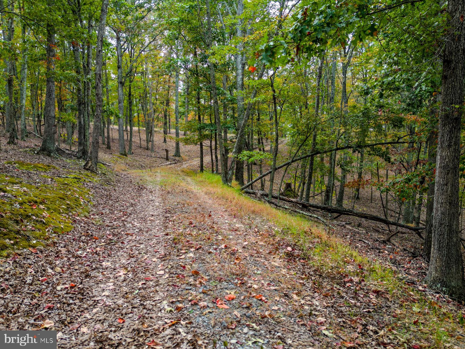 THE CROSSING AT GREAT CACAPON - Land