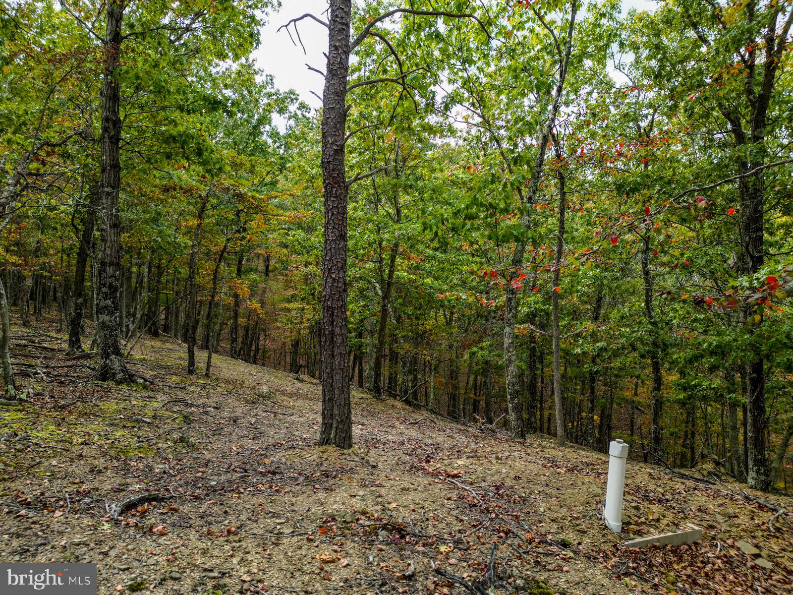 THE CROSSING AT GREAT CACAPON - Land