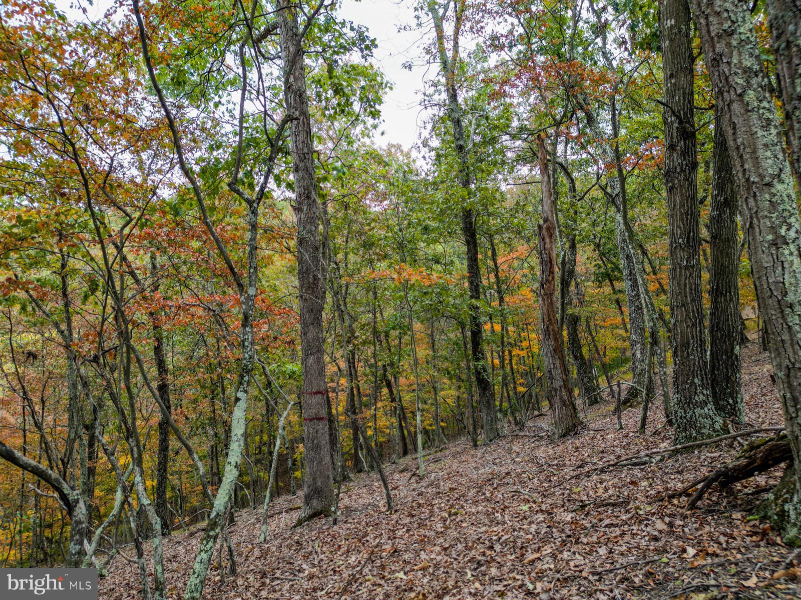THE CROSSING AT GREAT CACAPON - Land