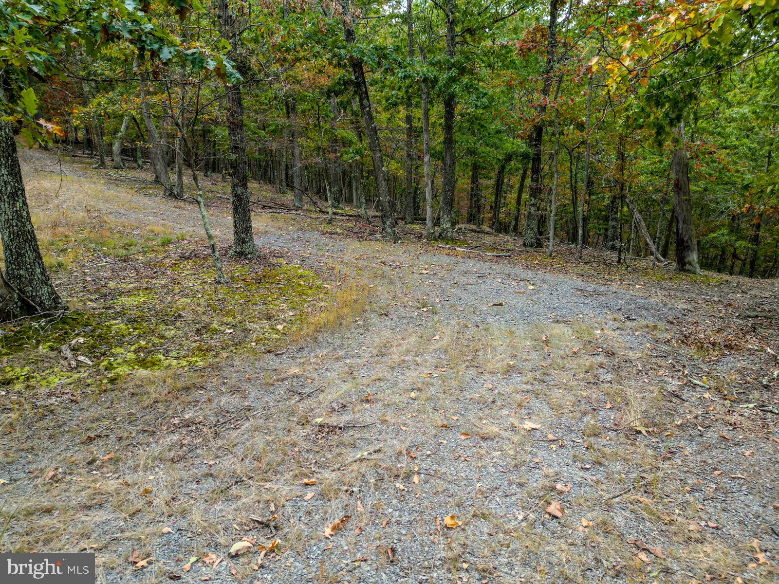 THE CROSSING AT GREAT CACAPON - Land