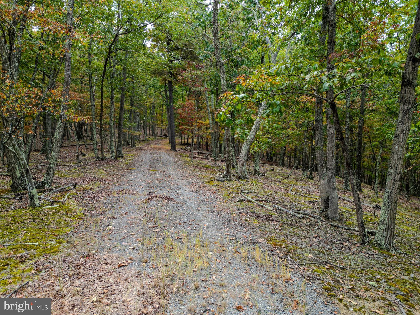 THE CROSSING AT GREAT CACAPON - Land