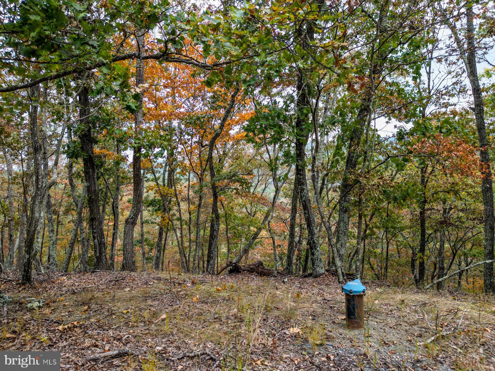 THE CROSSING AT GREAT CACAPON - Land