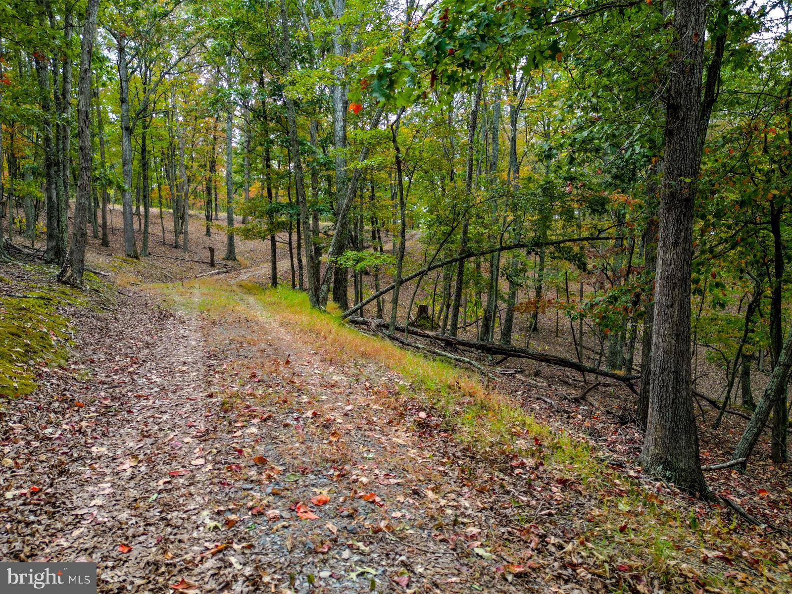 THE CROSSING AT GREAT CACAPON - Land