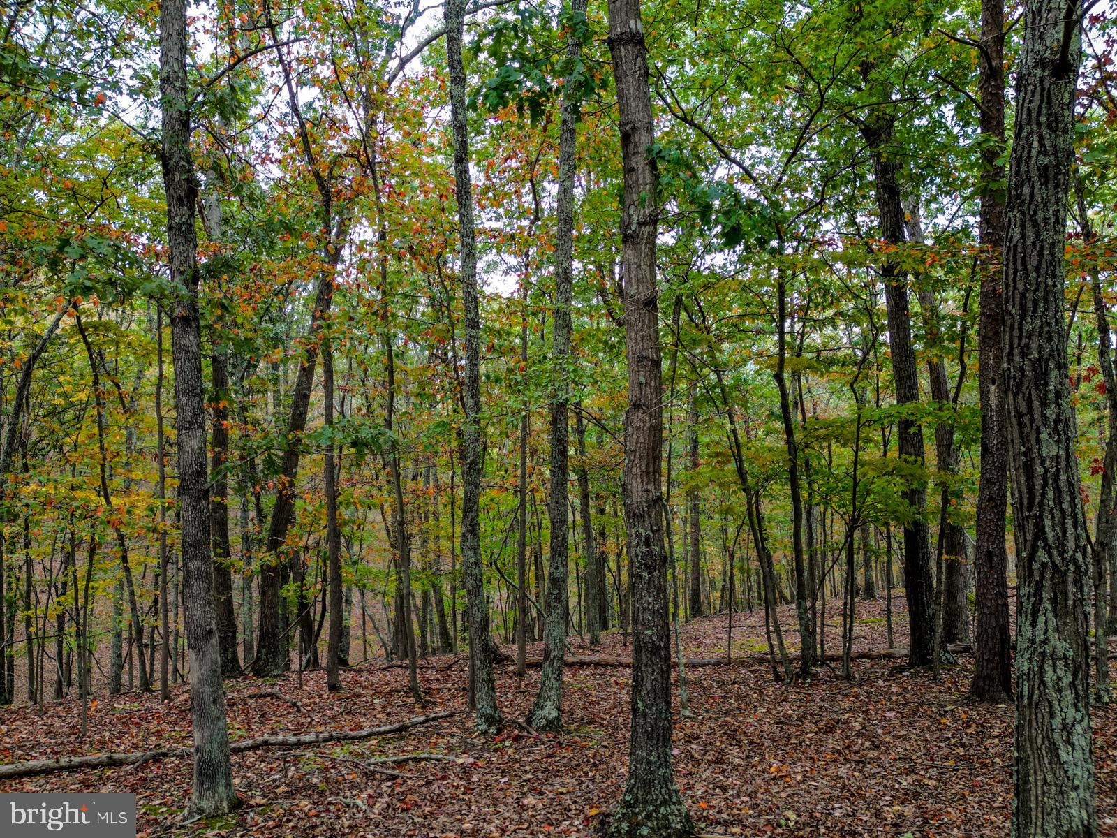 THE CROSSING AT GREAT CACAPON - Land