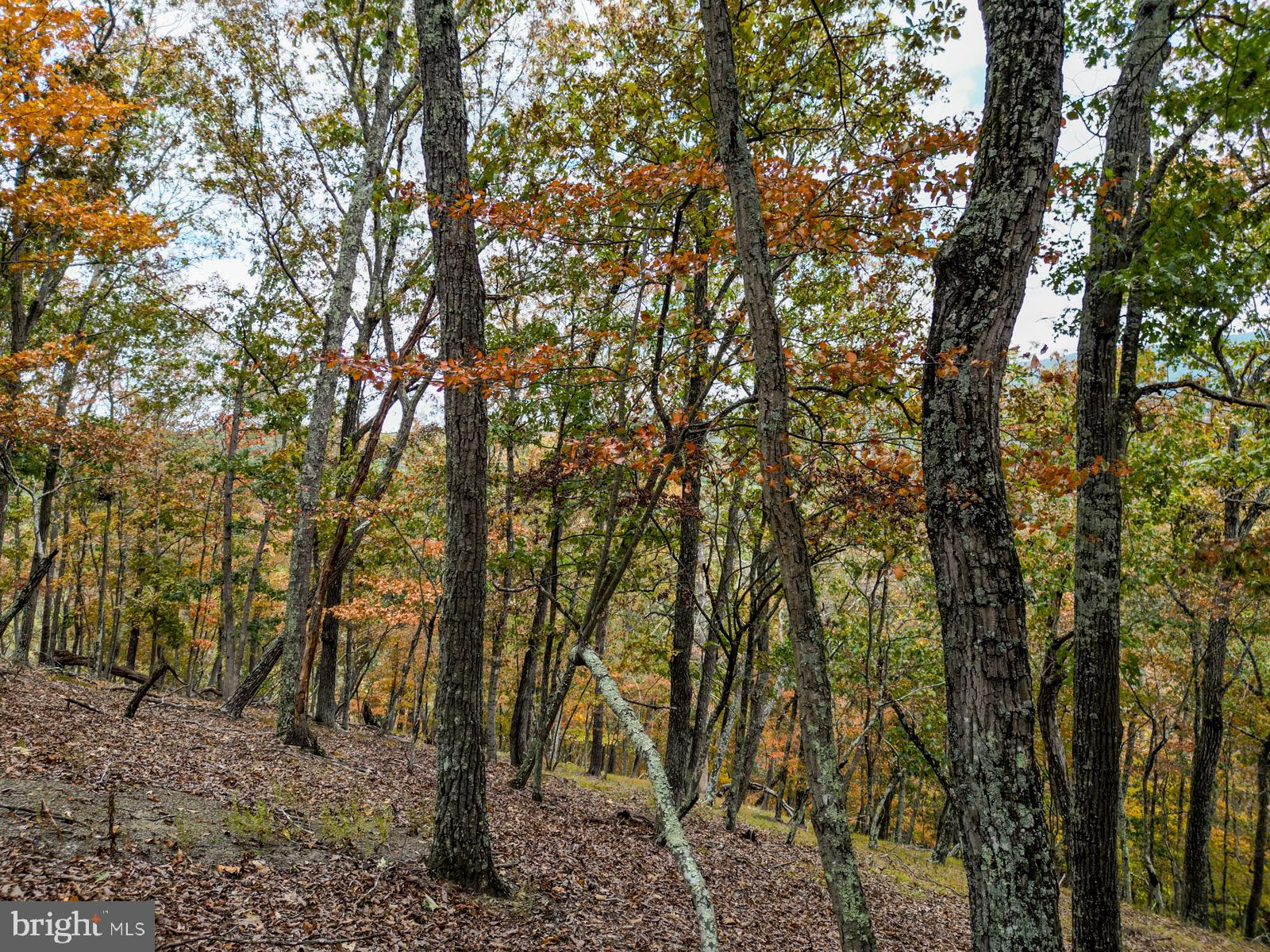 THE CROSSING AT GREAT CACAPON - Land