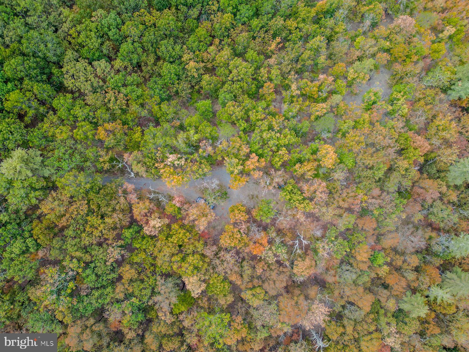 THE CROSSING AT GREAT CACAPON - Land