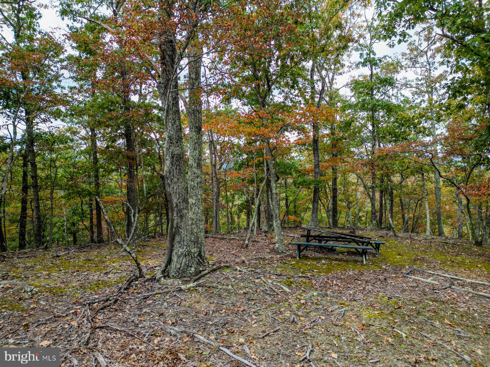 THE CROSSING AT GREAT CACAPON - Land
