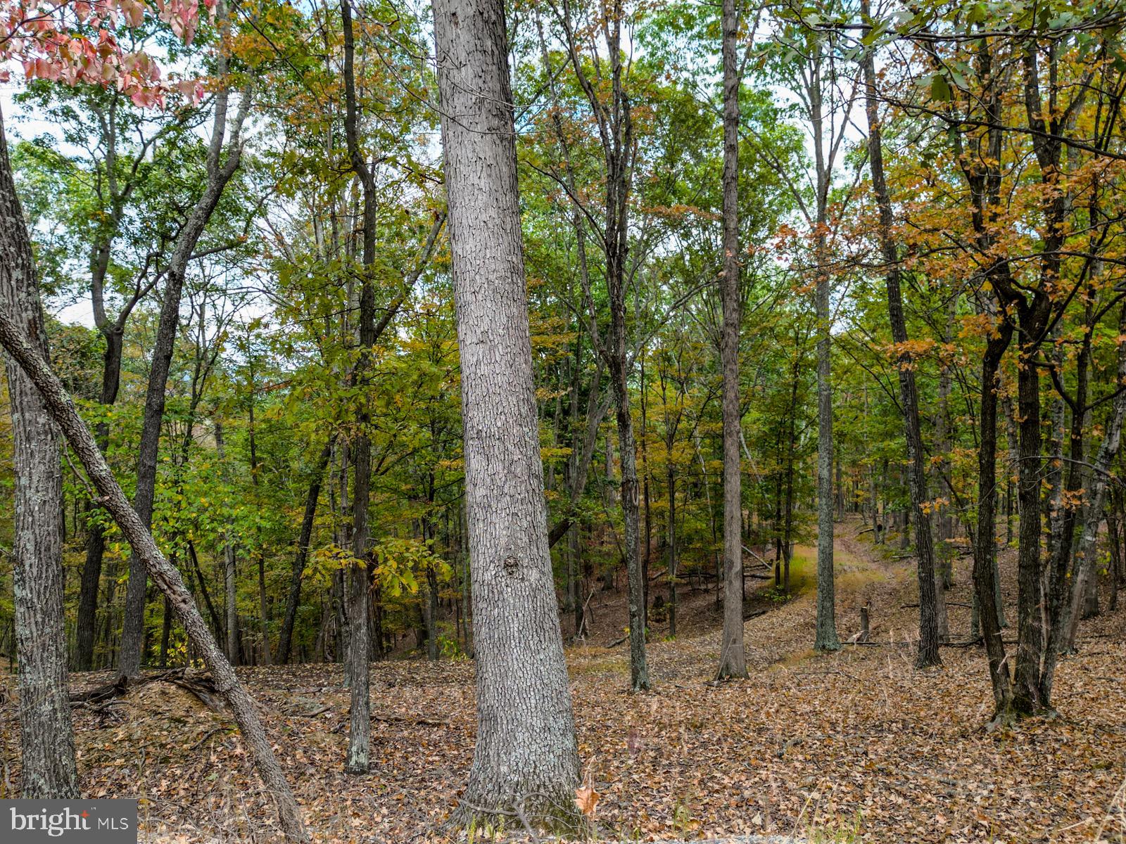 THE CROSSING AT GREAT CACAPON - Land