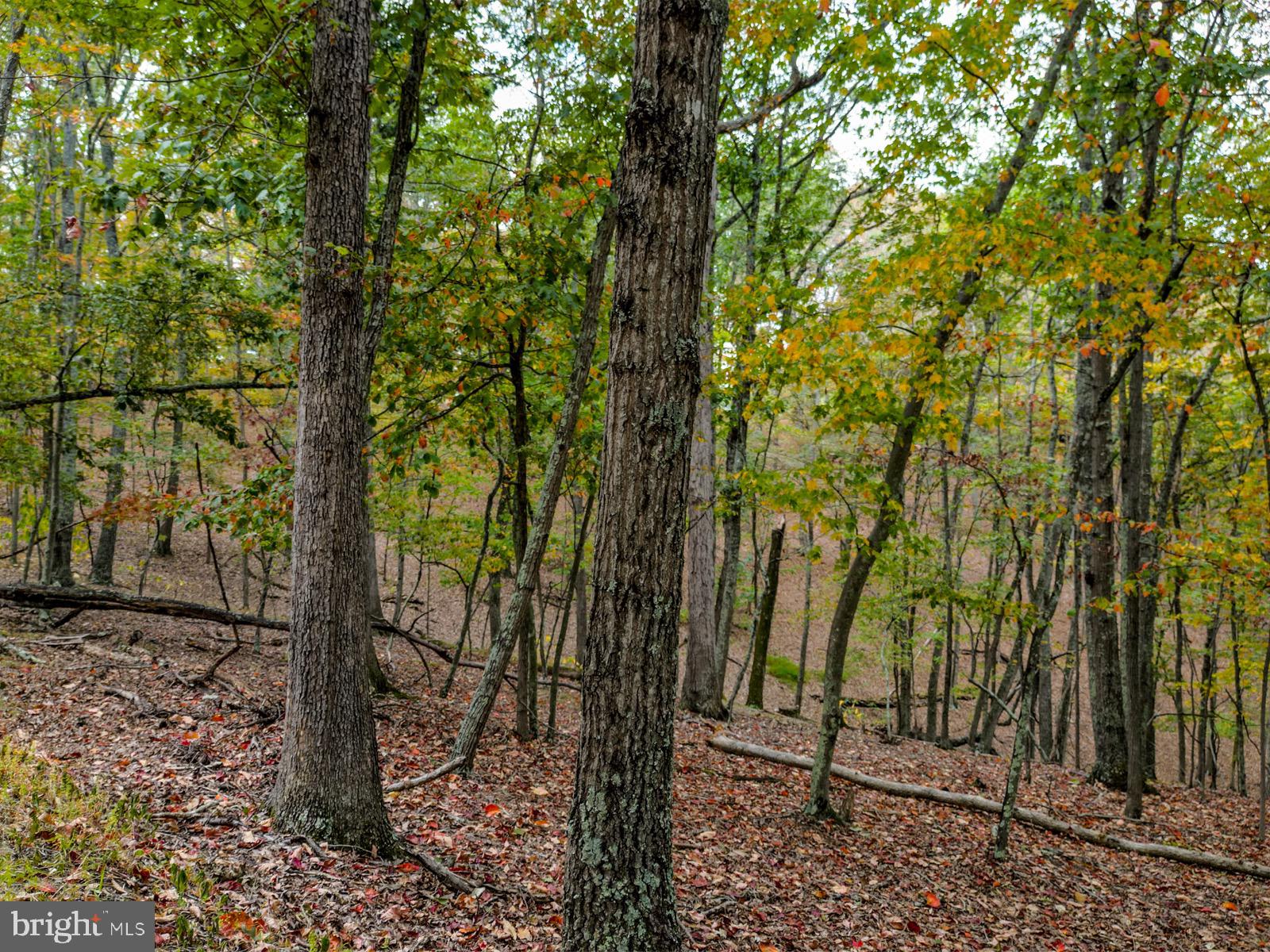 THE CROSSING AT GREAT CACAPON - Land