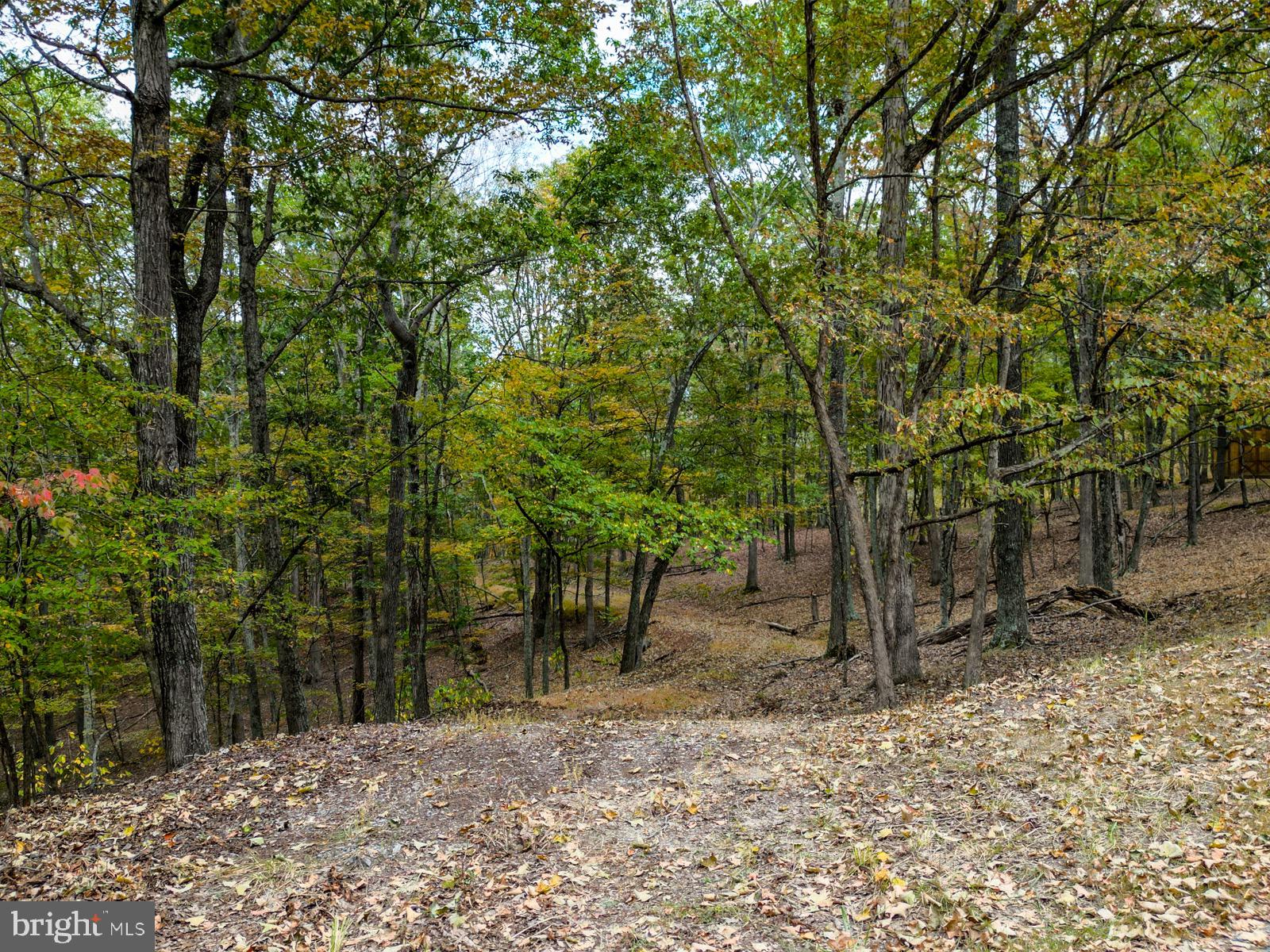 THE CROSSING AT GREAT CACAPON - Land