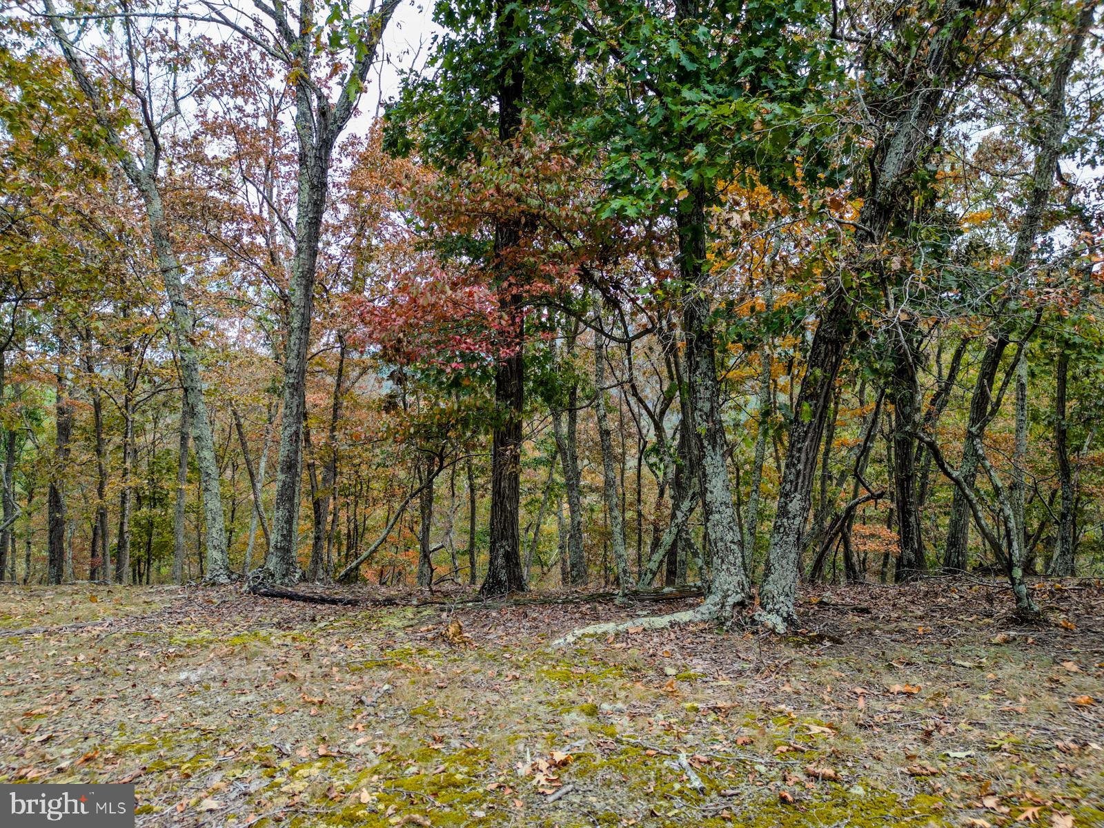 THE CROSSING AT GREAT CACAPON - Land