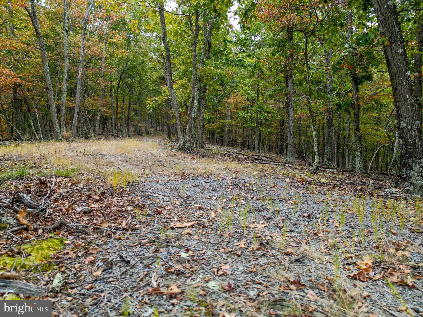 THE CROSSING AT GREAT CACAPON - Land