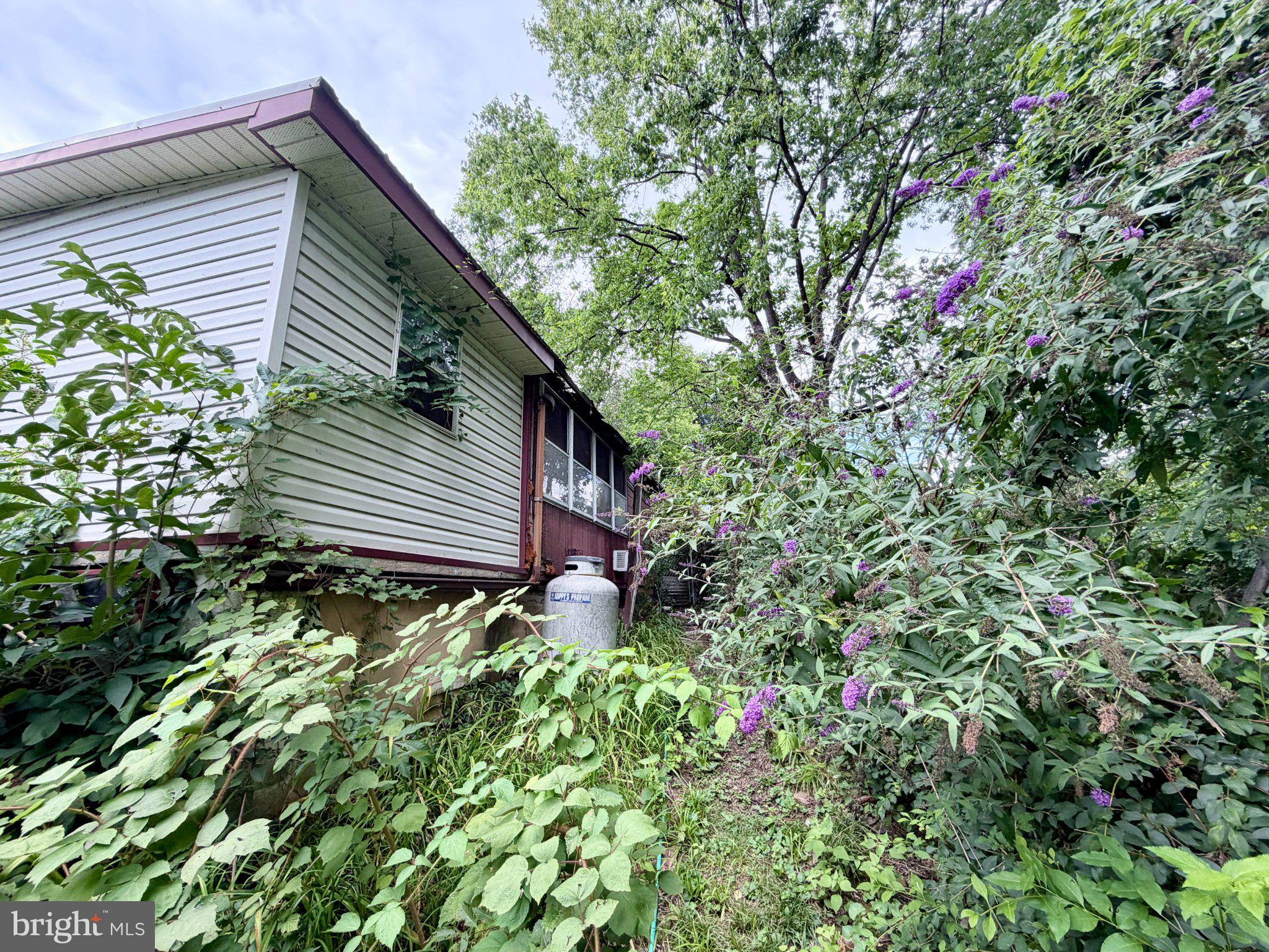 527 WALNUT STREET