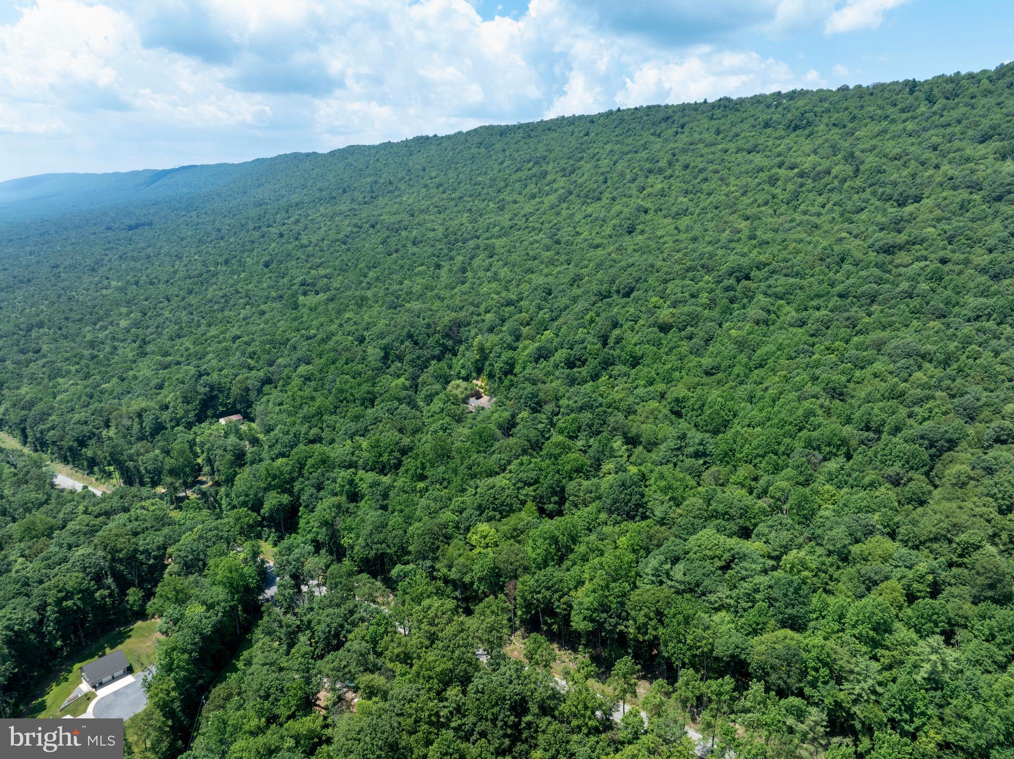 OLIVER - Residential