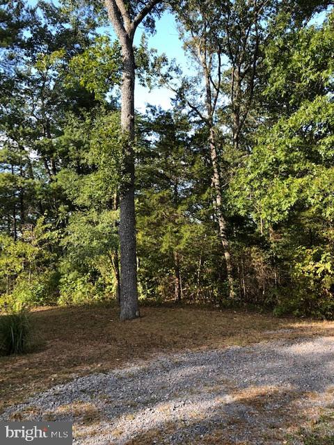 GLENWOOD FOREST - Residential