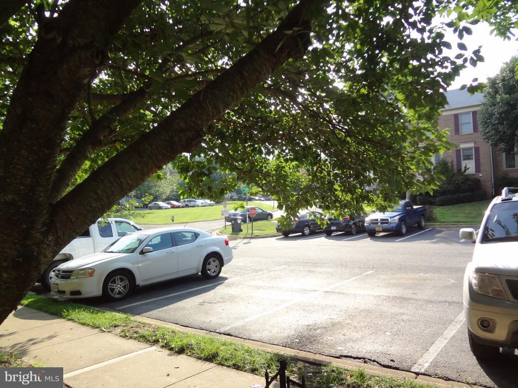 SPRING KNOLL - Residential Lease