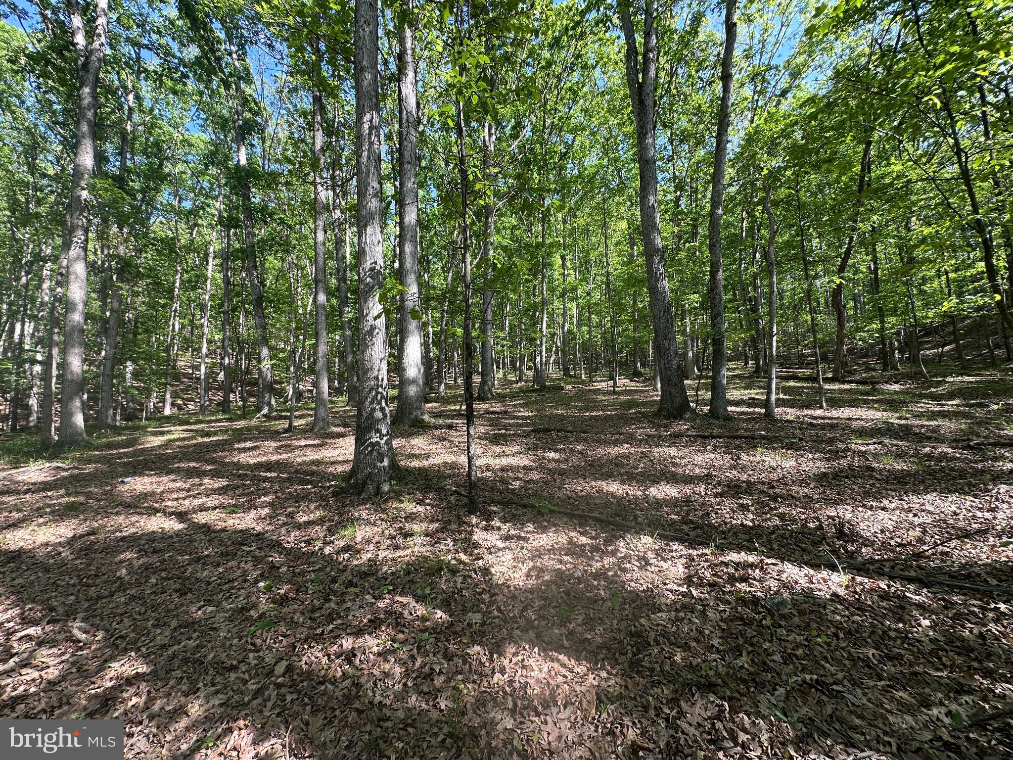 SHADOW KNOLLS - Land