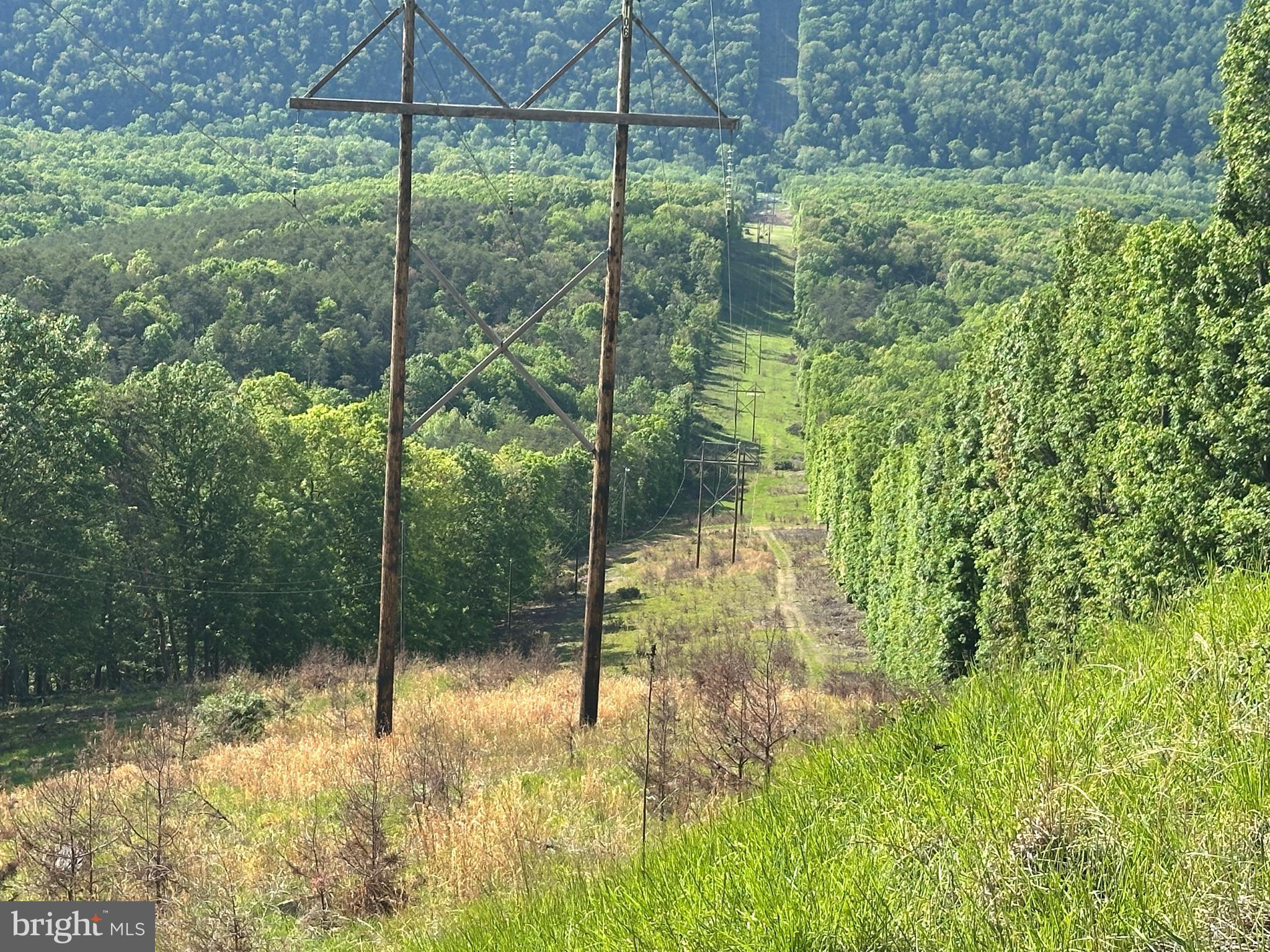 SHADOW KNOLLS - Land