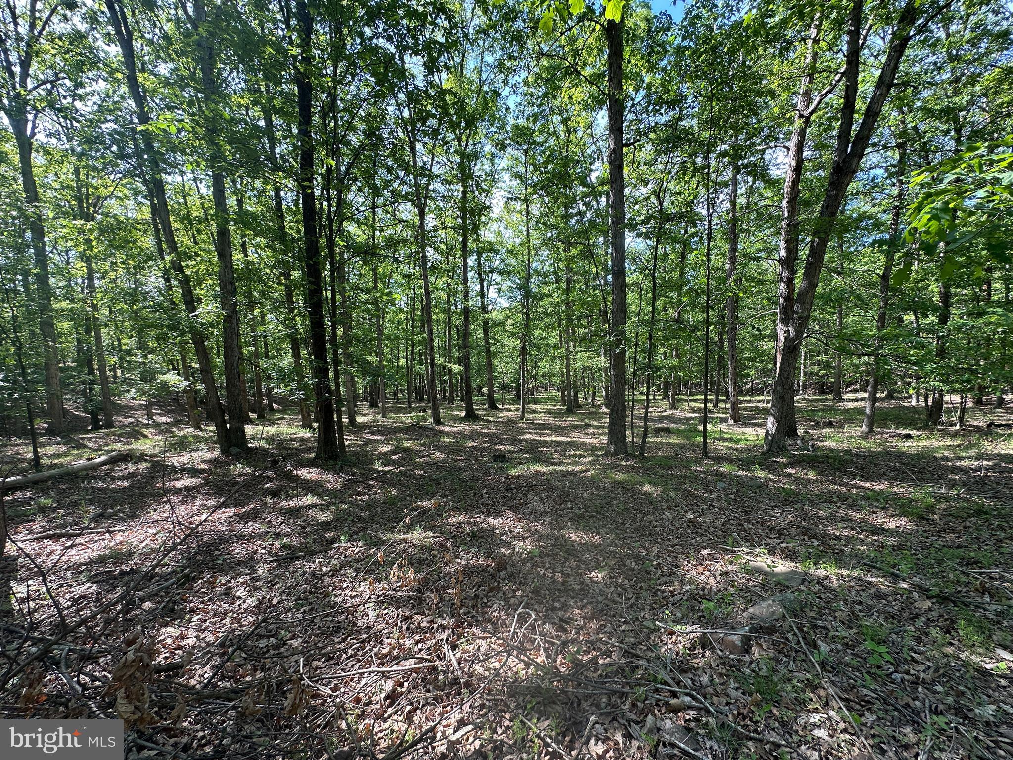 SHADOW KNOLLS - Land