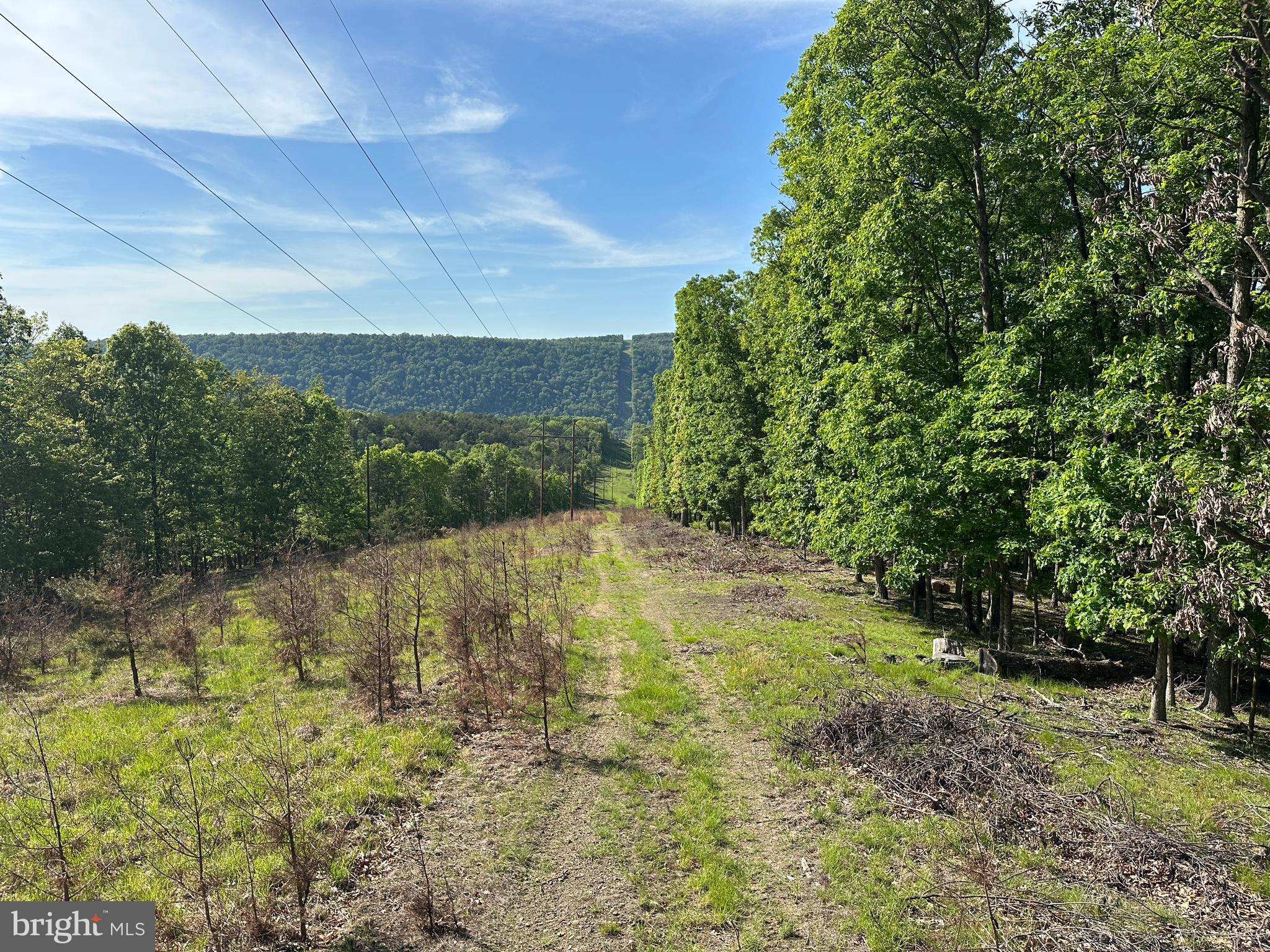 SHADOW KNOLLS - Land