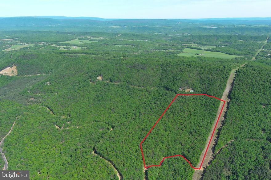 DON'T LOSE IT....USE IT! 26.7 ACRES OF 100% USABLE PRISTINE HARDWOOD FOREST. FLAT RIDGE TOP BUILD SITE OFFERS WESTERN VIEWS WITH TREE REMOVAL, OLD LOGGING ROADS PROVIDE ACCESS TO MOST OF THE PROPERTY AND CAN BE UTILIZED AS YOUR DRIVEWAY. OLD WOODEN POLE POWER LINE IS BOUNDARY ON ONE SIDE, IT'S NOT A NEGATIVE, IT'S POSITIVE....IT'S THE ULTIMATE GAME CROSSING/ 300 YARD SHOOTING RANGE! POWER & PERKED, ELECTRIC VERY CLOSE TO BUILD/CAMP SITE. .....MINIMAL INFRASTRUCTURE COSTS TO GET THIS PROPERTY FULLY FUNCTIONAL. NEVER SEE A NEIGHBOR, VERY PRIVATE, YET VERY CONVENIENT.....LESS THAN A 3/4 MILE OFF THE PAVED ROAD AND WITHIN 10-15 MINUTES OF MULTIPLE SMALL TOWNS. IF YOU LIKE THE OUTDOORS, YOU'LL NEVER GET BORED.....3 PUBLIC ACCESS POINTS ON THE SOUTH BRANCH OF THE POTOMAC RIVER AND "WHITEHORSE MOUNTAIN WILDLIFE MANAGEMENT AREA" 1765 ACRES OF PUBLIC HUNTING WITHIN 5 MINUTES OF THIS PROPERTY......A RECREATION OASIS! HUNT, CAMP, SHOOT, ATV'S.....YOU CAN DO IT ALL ON THIS LAND! BIG GAME SIGN EVERYWHERE YOU LOOK....BUCK RUBS, TURKEY SCRATCHING & BEAR SCAT. LOCATED IN THE DEVELOPMENT OF "SHADOW KNOLLS" AN 800 ACRE COMMUNITY COMPRISED OF ONLY 28 TRACTS, MOSTLY WEEKENDERS WITH ONLY A FEW FULL TIMERS, VERY LOW KEY AND PRIVATE..... MINIMAL RESTRICTIONS & HOA DUES ONLY $225 PER YEAR. BUILD BIG OR BUILD SMALL....DO IT ALL OR JUST CHILL....IT'S YOUR CALL.