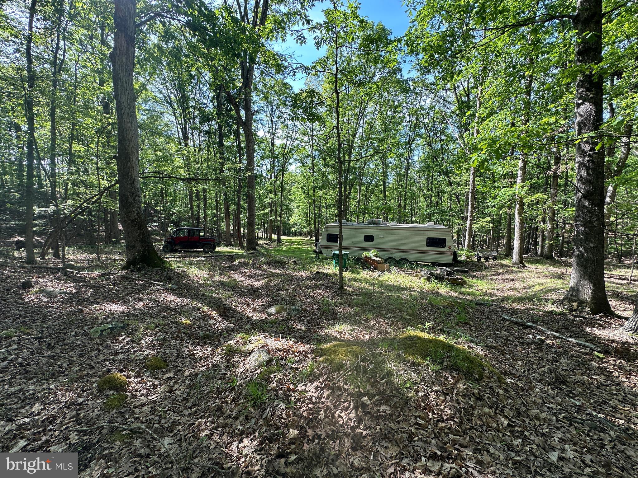 SHADOW KNOLLS - Land