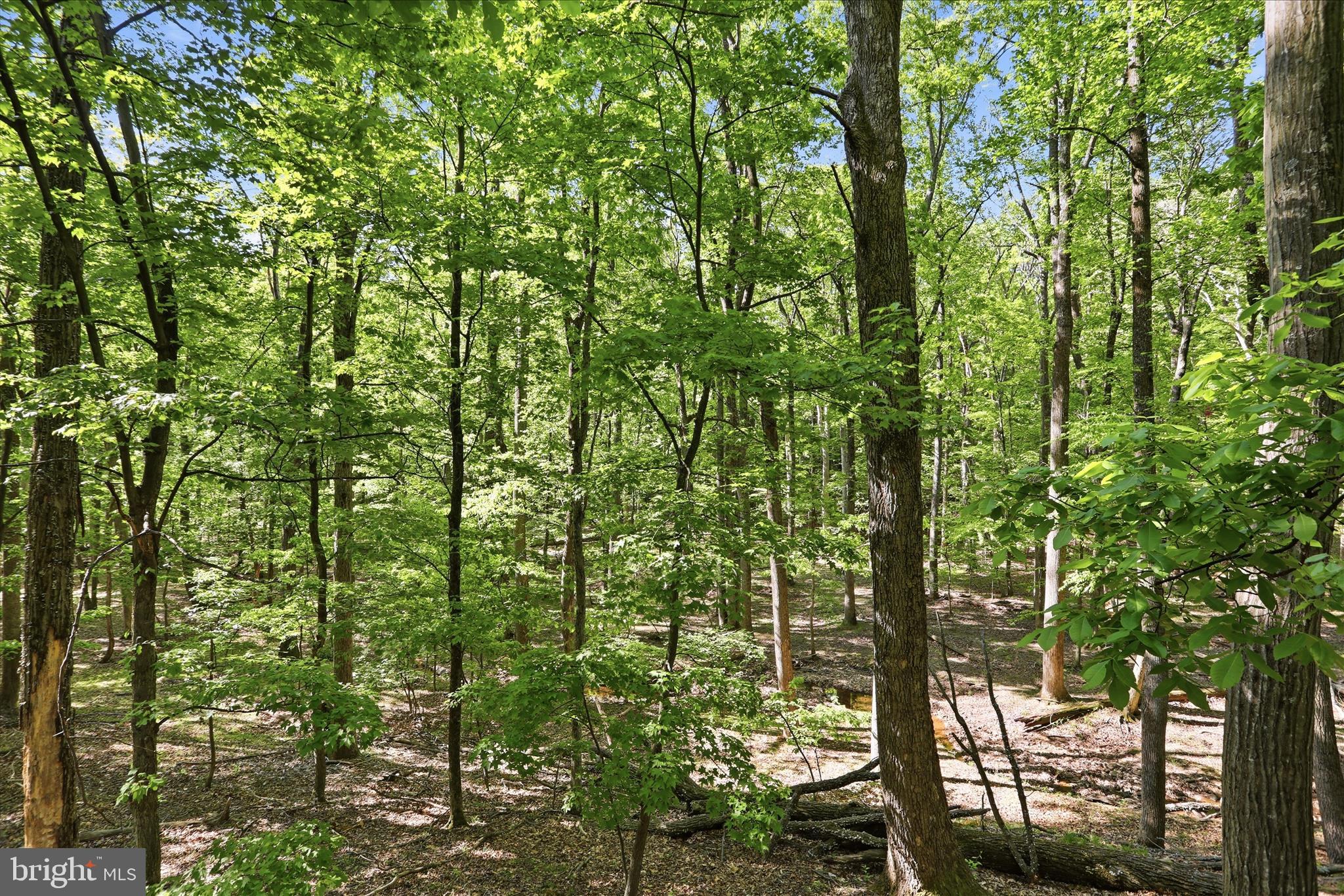 WOODS RESORT - Residential