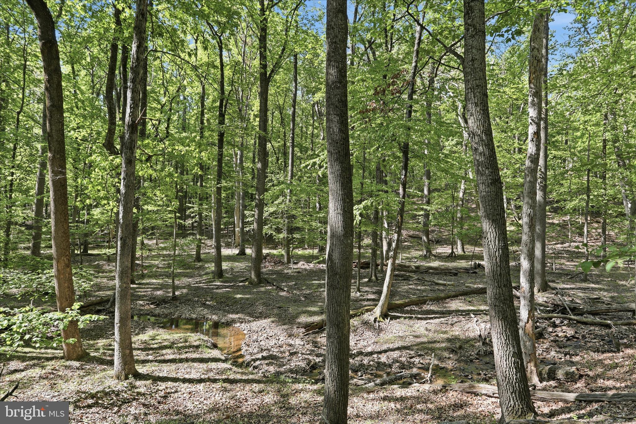 WOODS RESORT - Residential