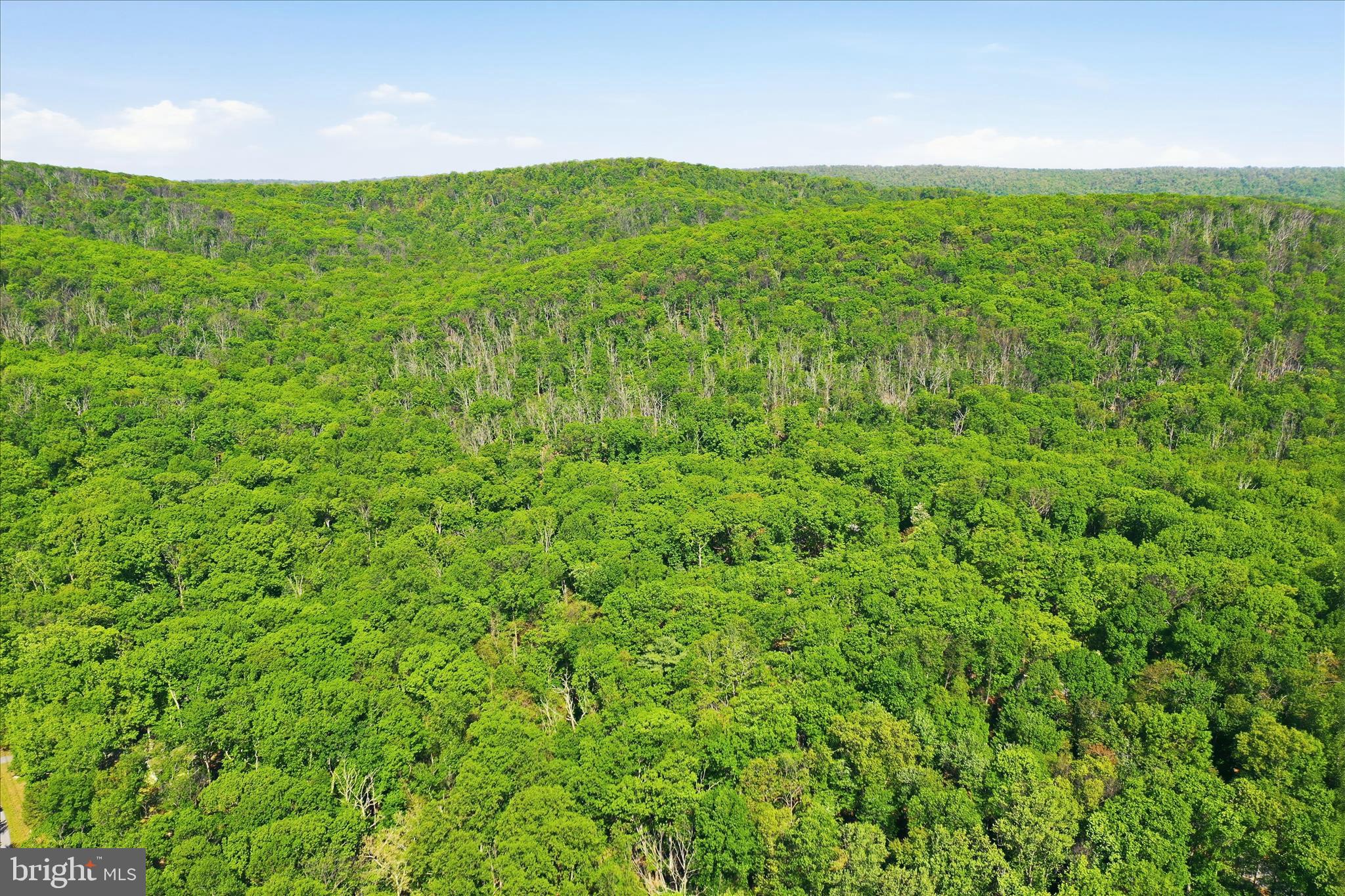WOODS RESORT - Residential