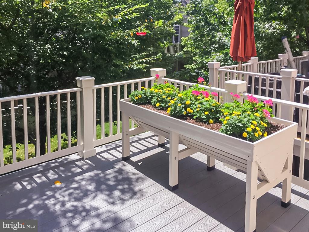 WEST MARKET - Residential