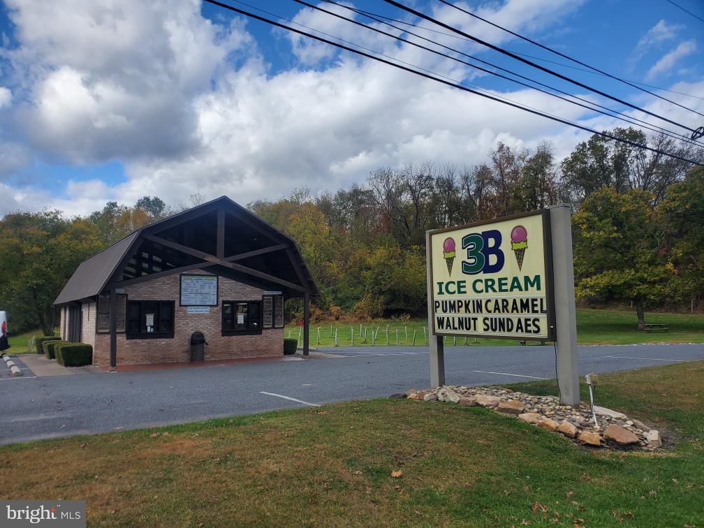 CHESTNUT HILL - Land