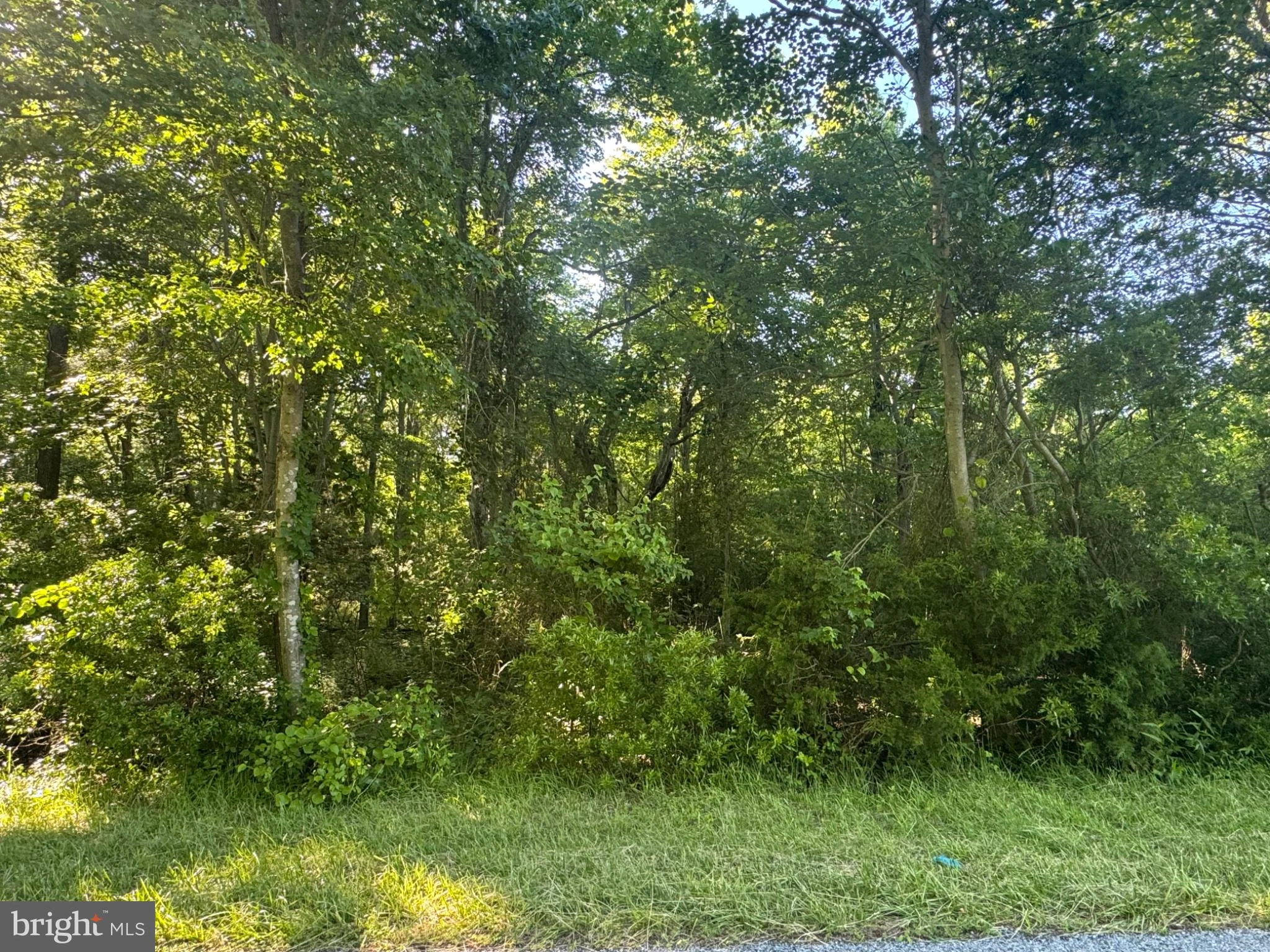 Additional image 14 of Lots 47 & 48 Pickering Beach Road, Dover, DE 19901