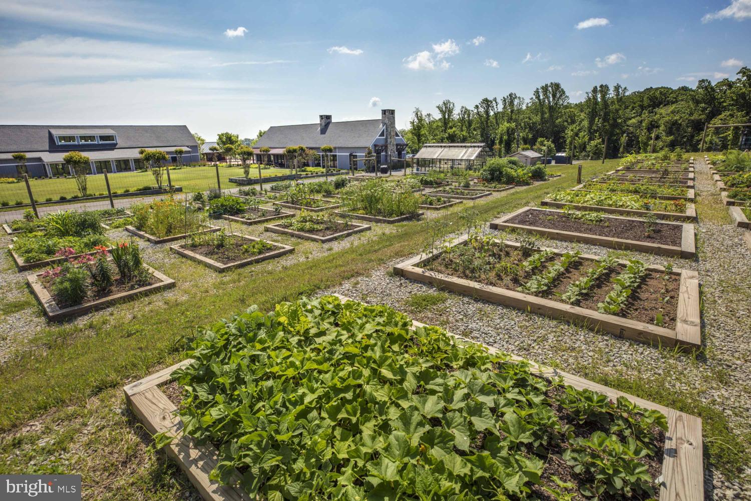 POTOMAC SHORES - Residential