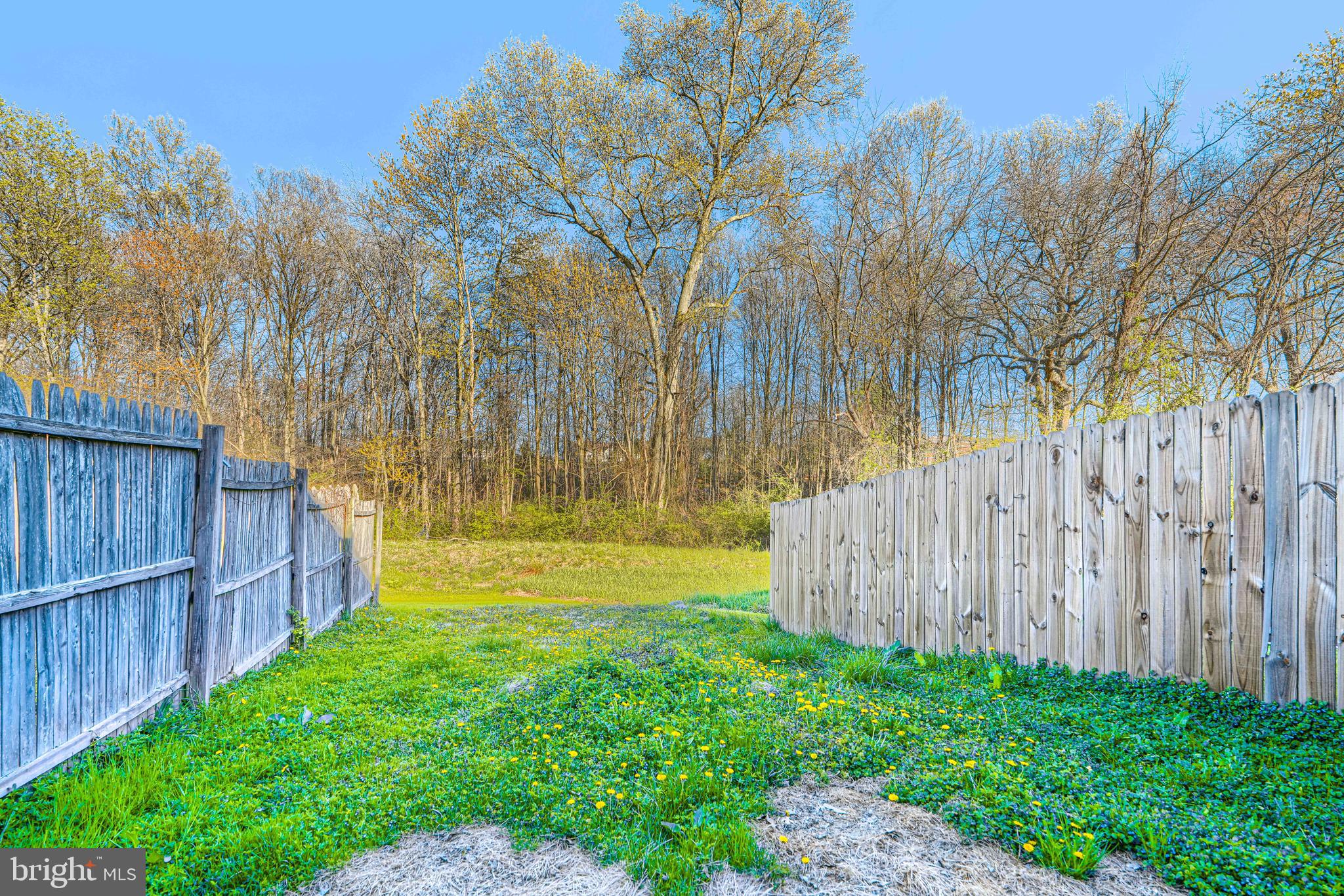 BYNUM WOODS - Residential